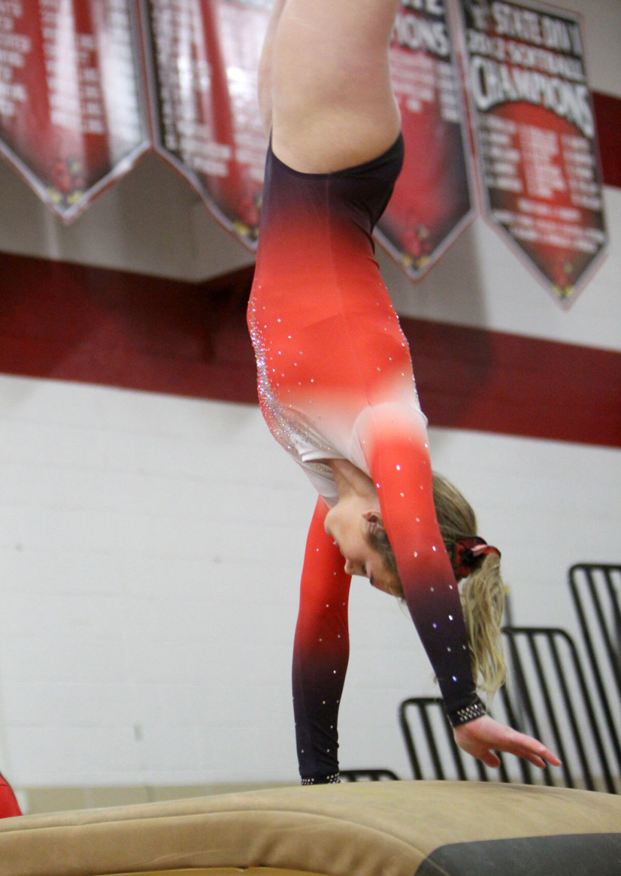 Chi-Hi Gymnastics Triangular 1-11-22